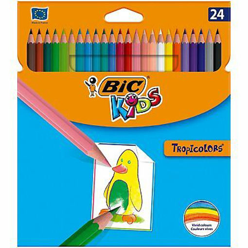 Picture of BIC PENCIL COLOURS X24